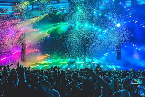 Musician performing on stage with live audience